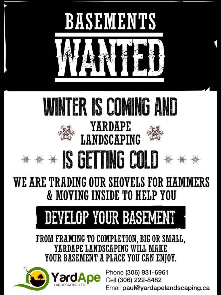 Basement Renovations